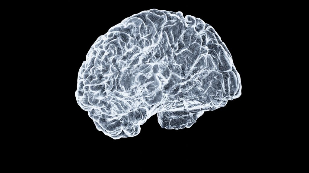 Illuminated three-dimensional render of a human brain on a dark background